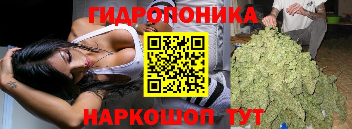 Омск  МАРИХУАНА план  Марихуана индика  Марихуана Bruce Banner  Вход с VPN 